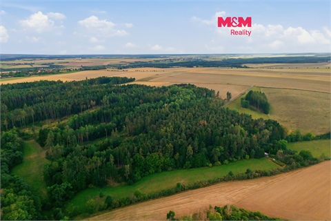 Prodej lesu, 5 988 m² 0