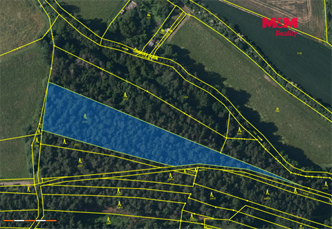 Prodej lesu, 5 988 m² - 0