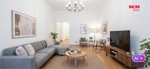Pronájem bytu 1+1, 55 m² - 2