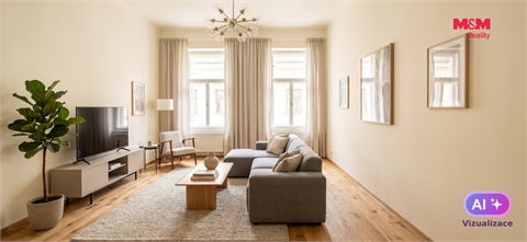 Pronájem bytu 1+1, 55 m² - 0