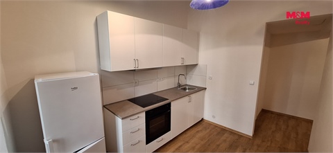 Pronájem bytu 1+1, 55 m² 8