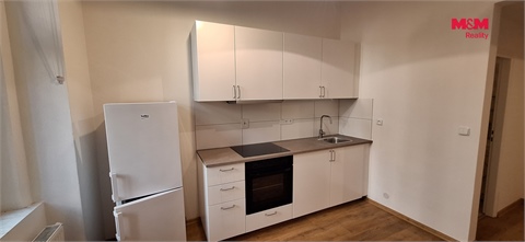 Pronájem bytu 1+1, 55 m² 6