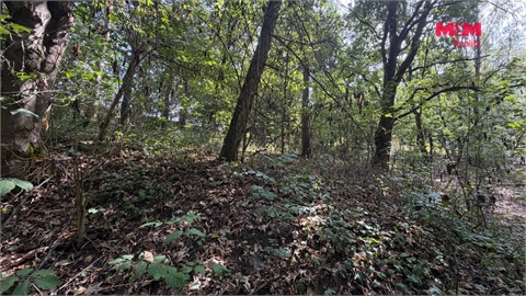 Prodej zemědělské půdy, 8 460 m² 8