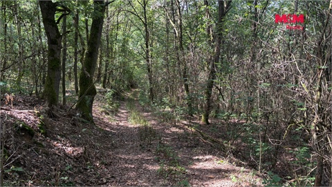 Prodej zemědělské půdy, 8 460 m² - 10