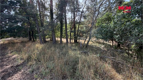 Prodej zemědělské půdy, 8 460 m² 6