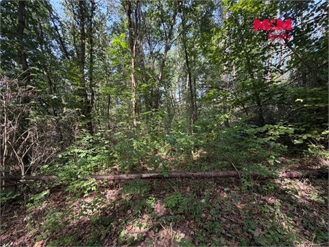Prodej zemědělské půdy, 8 460 m² - 6