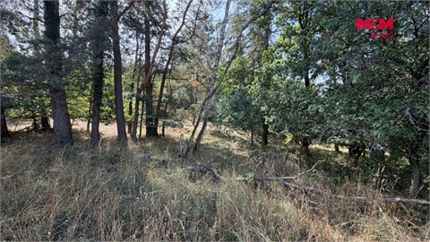 Prodej zemědělské půdy, 8 460 m² - 4