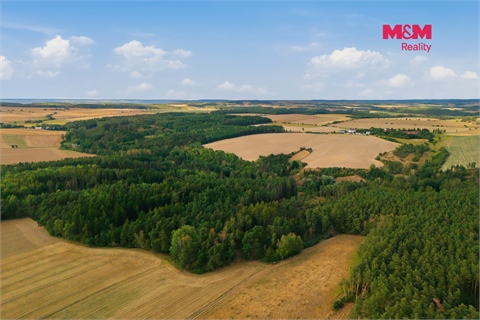 Prodej lesu, 4 230 m² 6