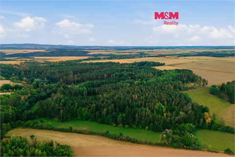 Prodej lesu, 4 230 m² 0