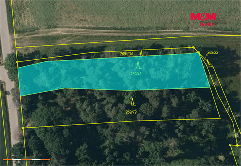 Prodej lesu, 4 230 m² 4