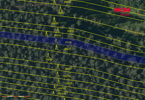 Prodej lesu, 4 230 m² - 0