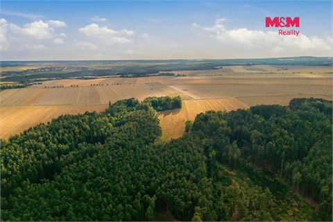 Prodej lesu, 4 230 m² - 2