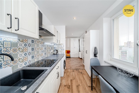 Prodej bytu 1+1, 35 m² 10