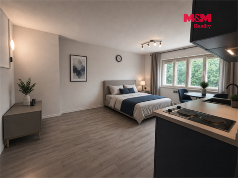 Prodej bytu 1kk, 23 m² - 4