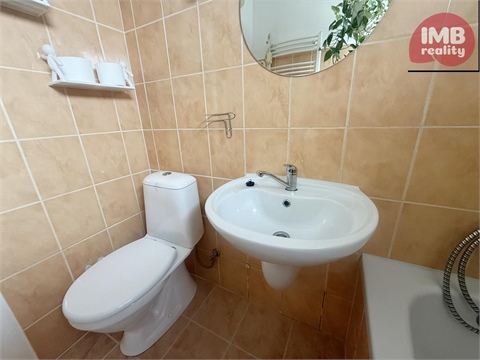 Prodej bytu 1+1, 44 m² 8