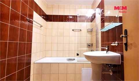 Pronájem bytu 3+1, 65 m² 12
