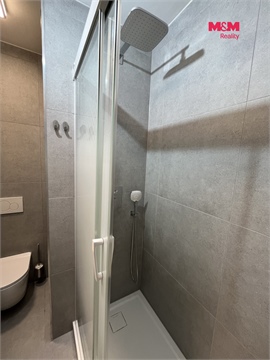 Pronájem bytu 1+1, 40 m² 4