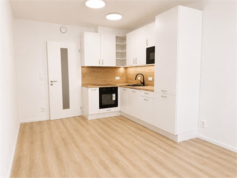 Pronájem bytu 1kk, 26 m² 2