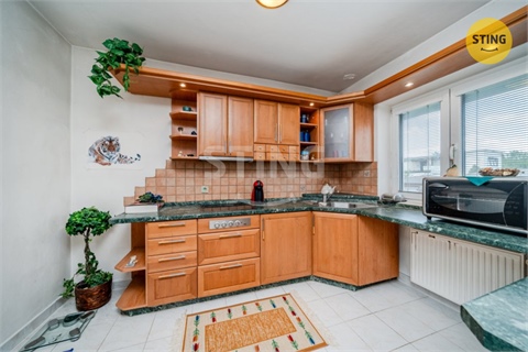 Prodej domu, 300 m² - 10