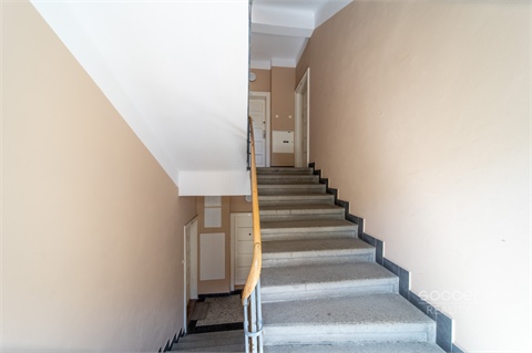 Pronájem bytu 1kk, 82 m² - 22