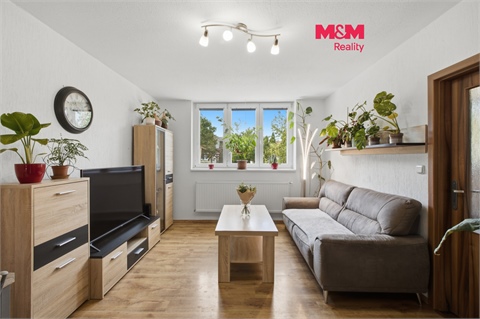 Prodej bytu 3+1, 55 m² 0