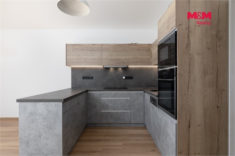 Prodej atypického bytu, 133 m² - 14