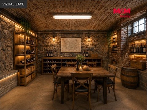 Prodej obchodních prostor, 153 m² - 22