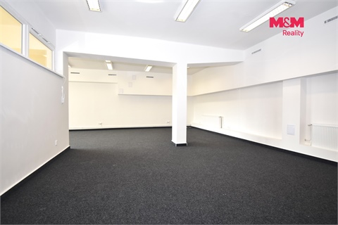 Pronájem obchodních prostor, 146 m² 8