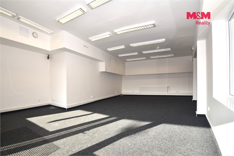 Pronájem obchodních prostor, 146 m² - 4