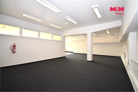 Pronájem obchodních prostor, 146 m² - 10