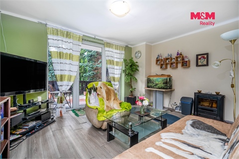 Prodej rodinného domu, 370 m² 2