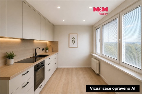 Pronájem bytu 1+1, 40 m² 0