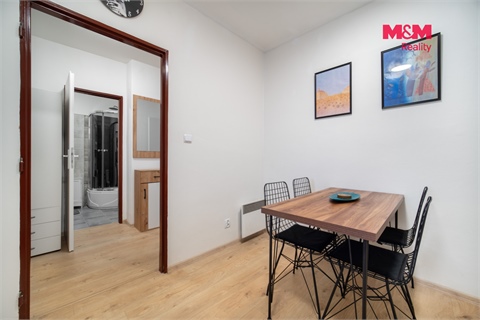 Prodej bytu 1+1, 42 m² - 4