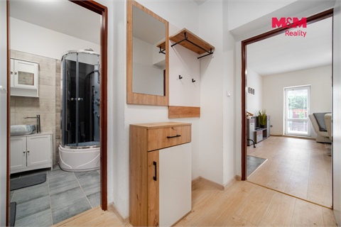 Prodej bytu 1+1, 42 m² 8