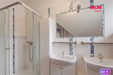 Prodej rodinného domu, 280 m² 18