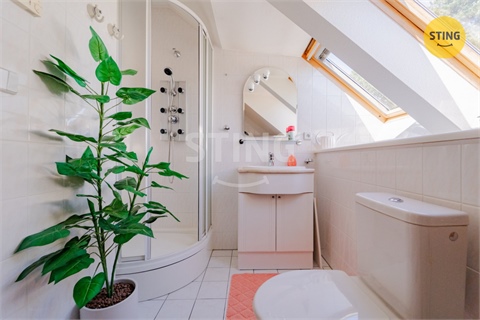 Prodej rodinného domu, 256 m² - 28