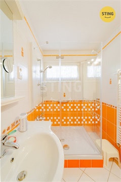 Prodej rodinného domu, 256 m² - 10