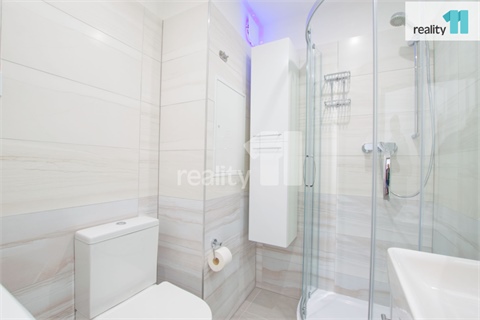 Pronájem bytu 1+1, 34 m² 10