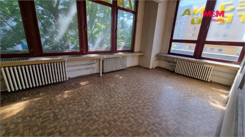 Pronájem obchodních prostor, 554 m² - 4