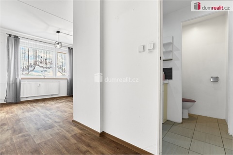 Prodej bytu 1+1, 41 m² - 2