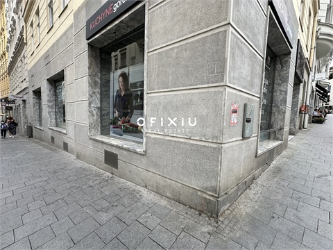 Pronájem obchodních prostor, 109 m² - 8