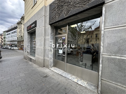 Pronájem obchodních prostor, 109 m² - 6