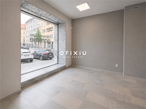 Pronájem obchodních prostor, 109 m² 6