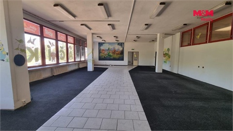 Pronájem obchodních prostor, 270 m² 4