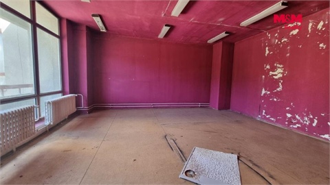 Pronájem obchodních prostor, 270 m² - 4