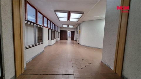 Pronájem obchodních prostor, 270 m² - 0