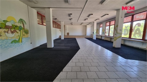 Pronájem obchodních prostor, 270 m² - 2
