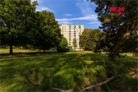Prodej bytu 1kk, 24 m² 4