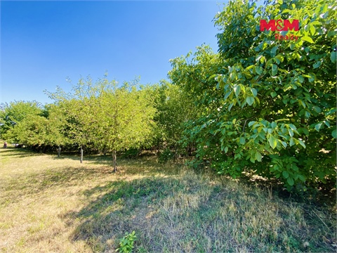 Prodej zahrady, 1 843 m² 4