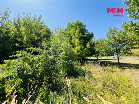 Prodej zahrady, 1 843 m² - 4